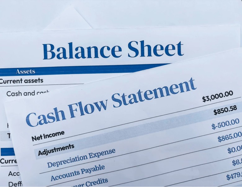 Printed Balance Sheet and Cash Flow Statement showing net income and cash flow adjustments